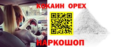 крисы Аргун