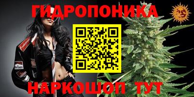 крисы Аргун
