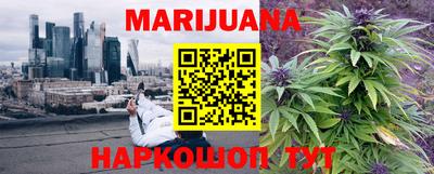 крисы Аргун